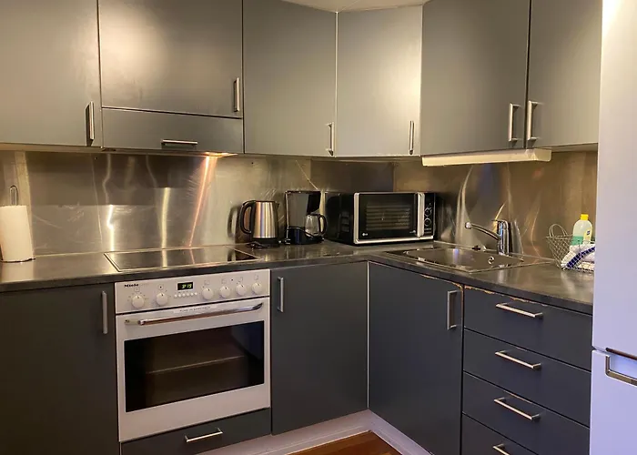 Enter Viking * Тромсё