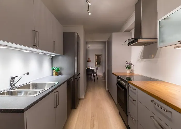Enter Viking Appartement