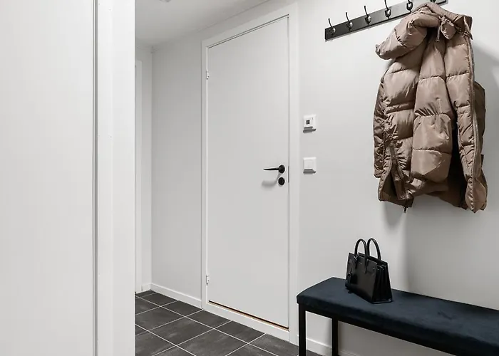 Enter Viking Appartement *